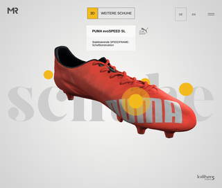 Screenshot of Marco Reus - Homepage